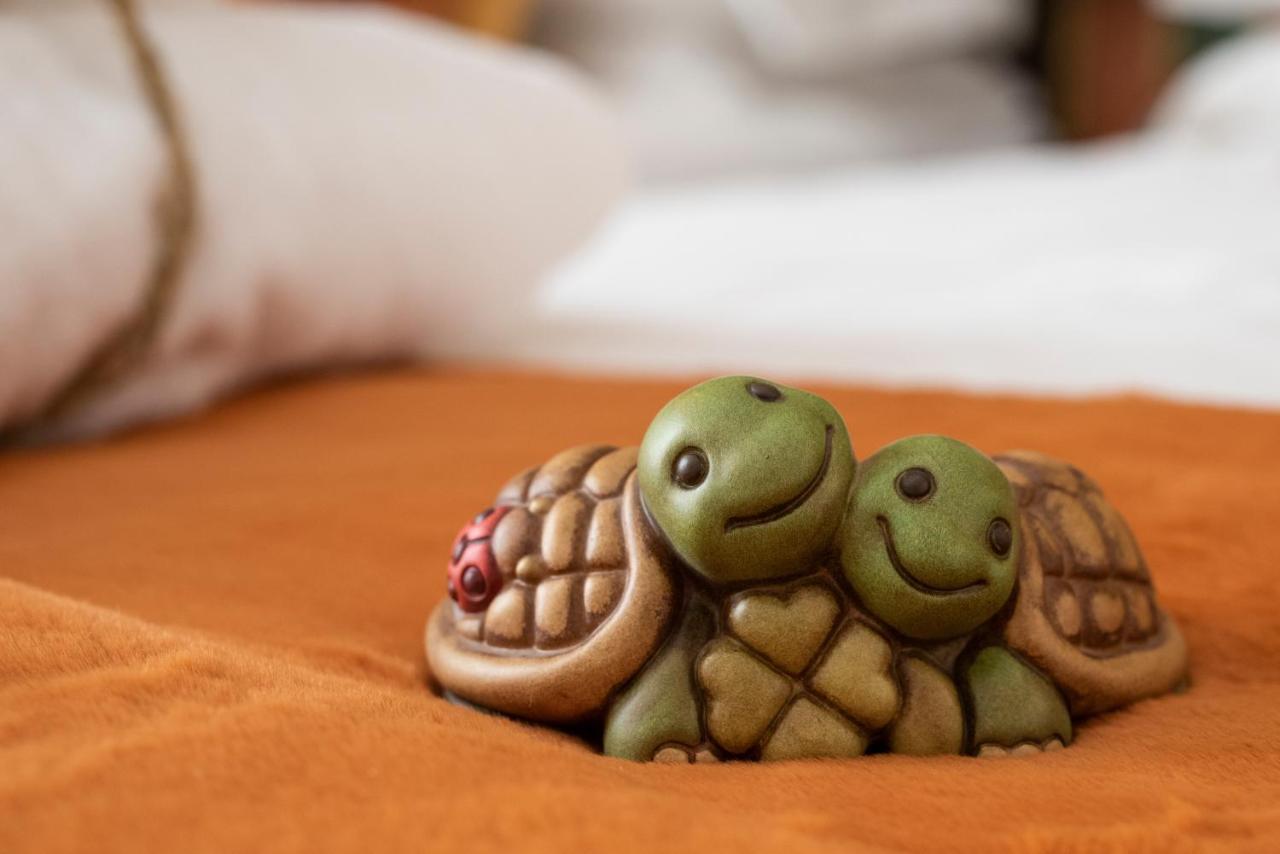 La Casa Delle Tartarughe Hotel Rome Luaran gambar